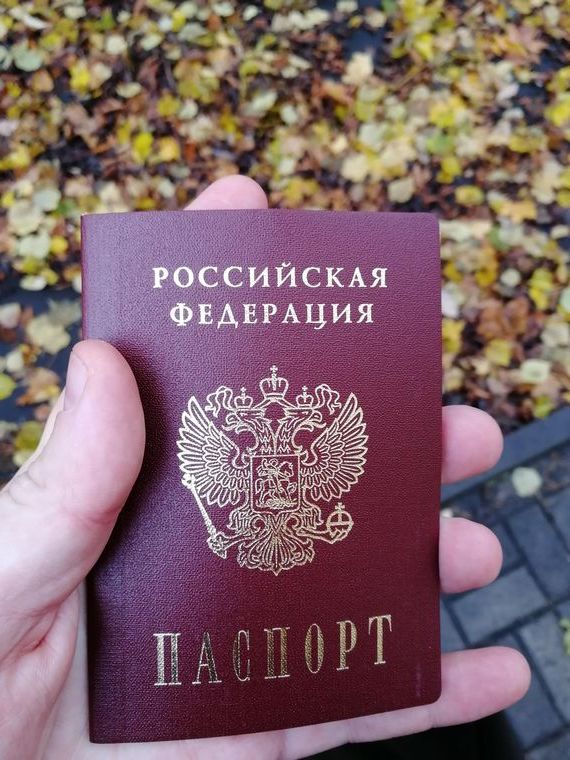 прописка в Тосно